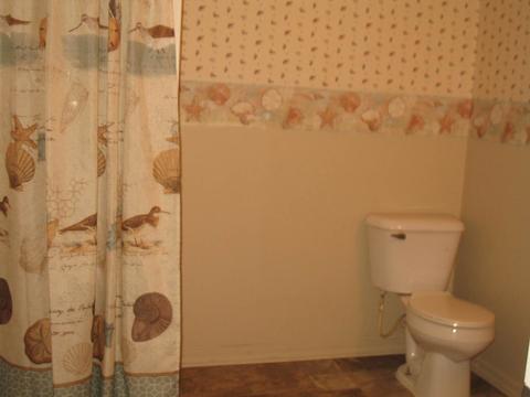 401 Chicago St, Dewitt, IL 61735 photo 22