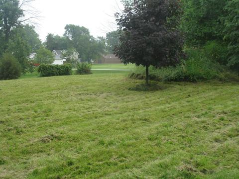 401 Chicago St, Dewitt, IL 61735 photo 7