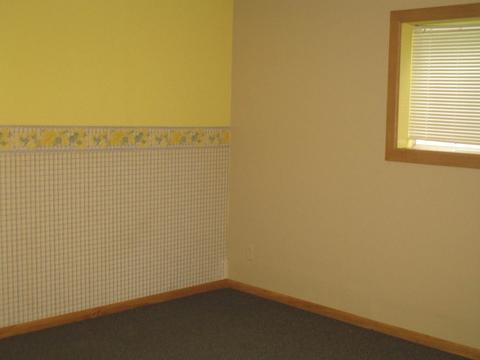 401 Chicago St, Dewitt, IL 61735 photo 20