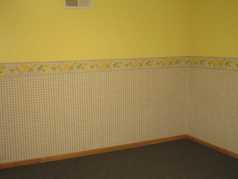 401 Chicago St, Dewitt, IL 61735 photo 21