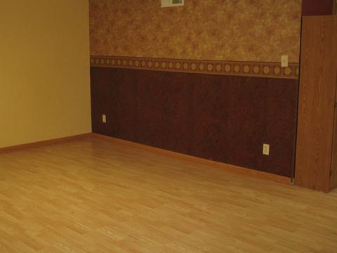 401 Chicago St, Dewitt, IL 61735 photo 18