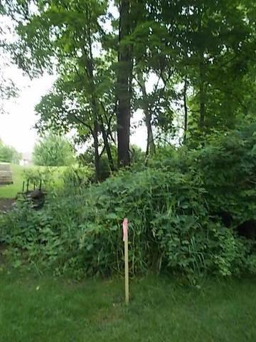 427 Pond View Ln, Bartlett, IL 60103 photo 12
