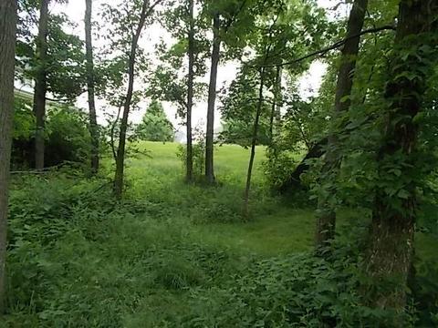 427 Pond View Ln, Bartlett, IL 60103 photo 13