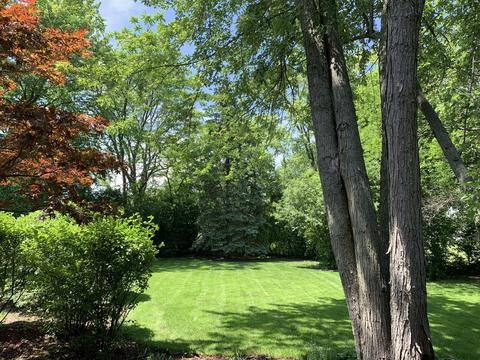 2722 Maple Ave, Northbrook, IL 60062 photo 21