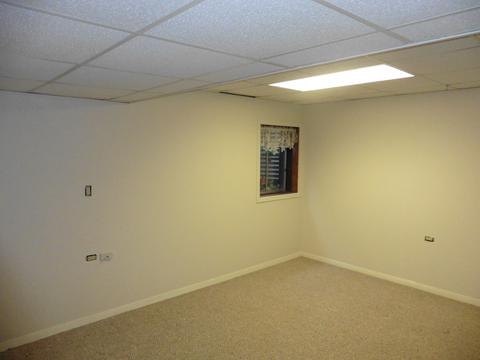 3216 Alethea Dr, Algonquin, IL 60102 photo 10