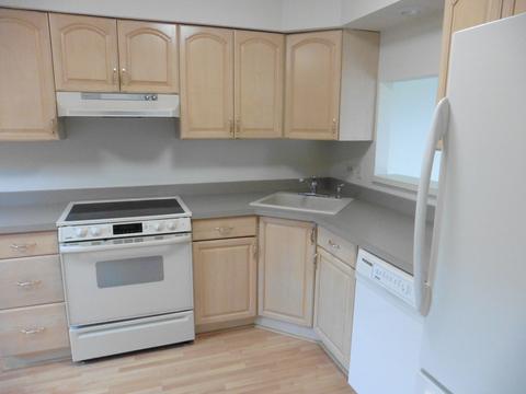 3216 Alethea Dr, Algonquin, IL 60102 photo 5