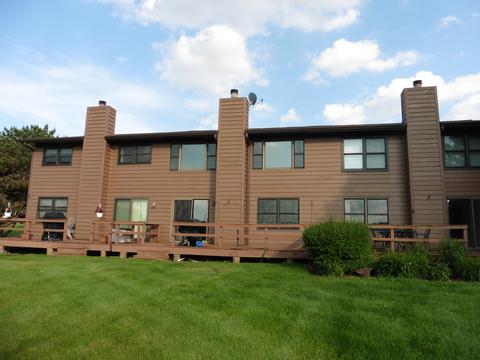 3216 Alethea Dr, Algonquin, IL 60102 photo 29