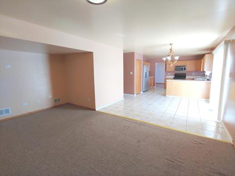 1409 Lasser Dr, Plainfield, IL 60586 photo 19