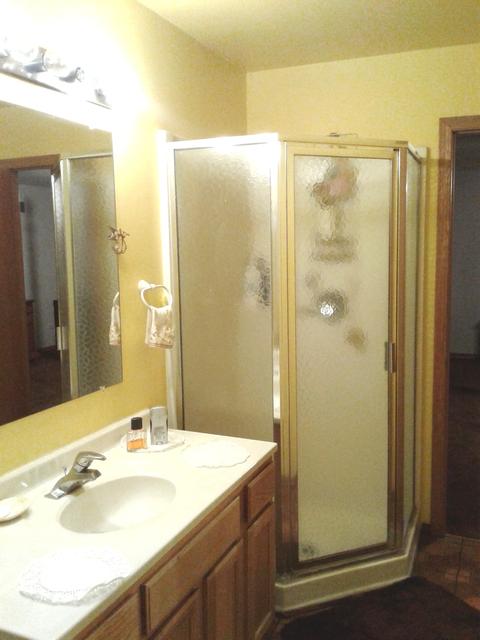 1409 Lasser Dr, Plainfield, IL 60586 photo 9