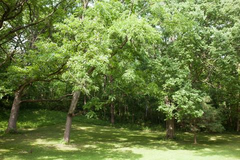 2590 E 22nd Rd, Marseilles, IL 61341 photo 12