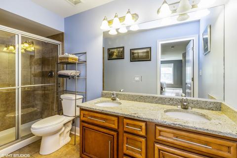 20035 Delphi Dr, Olympia Fields, IL 60461 photo 11