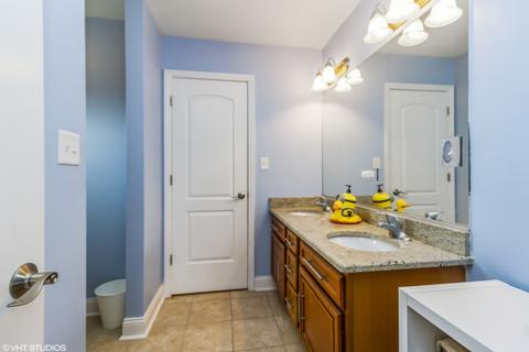 20035 Delphi Dr, Olympia Fields, IL 60461 photo 19