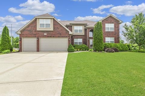 20035 Delphi Dr, Olympia Fields, IL 60461 photo 1