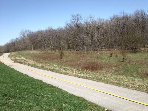 740 W Algonquin Rd, Hoffman Estates, IL 60192 photo 22
