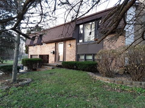 740 W Algonquin Rd, Hoffman Estates, IL 60192 photo 1