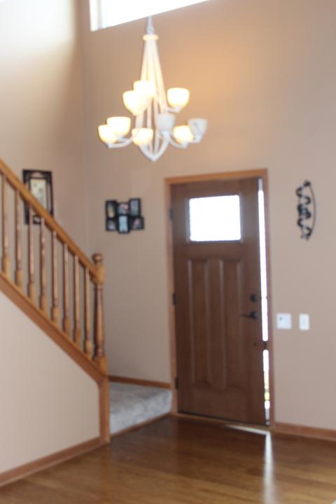 1141 Sawmill Ln, Algonquin, IL 60102 photo 4