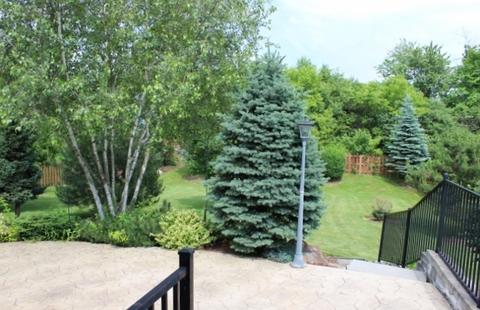 3502 Aubrey Dr, Johnsburg, IL 60051 photo 9