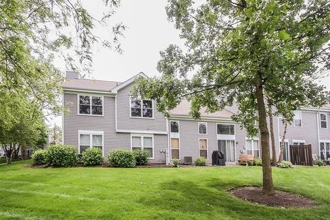 4 Cedar Grove Ct, Algonquin, IL 60102 photo 22