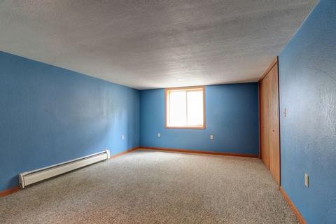 207 W Van Buren St, Philo, IL 61864 photo 38