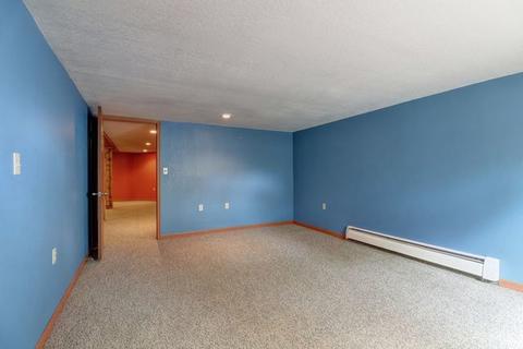 207 W Van Buren St, Philo, IL 61864 photo 37