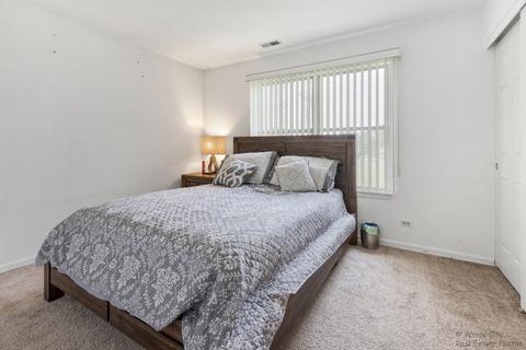176 Dickens Trl, Elgin, IL 60120 photo 14