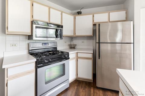 176 Dickens Trl, Elgin, IL 60120 photo 5
