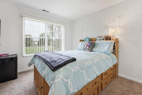 176 Dickens Trl, Elgin, IL 60120 photo 16