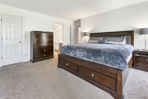 176 Dickens Trl, Elgin, IL 60120 photo 11