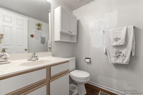 176 Dickens Trl, Elgin, IL 60120 photo 13