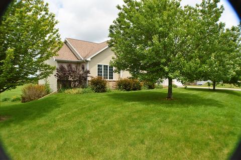10124 E Raindance Dr, Rochelle, IL 61068 photo 4