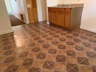 4941 S Champlain Ave, Chicago, IL 60615 photo 9