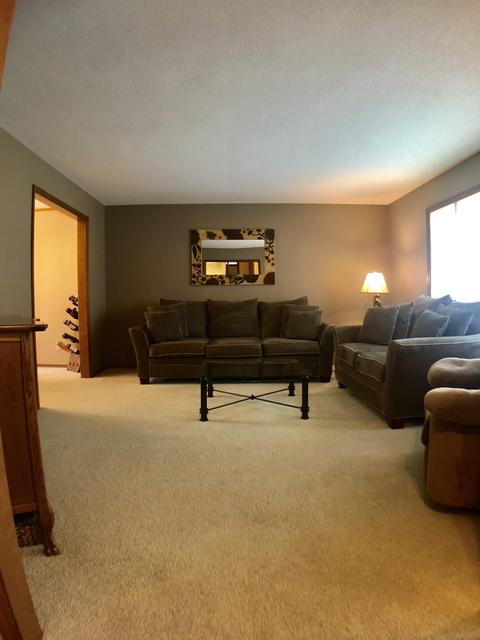 1020 Oakcrest Dr, Rantoul, IL 61866 photo 4