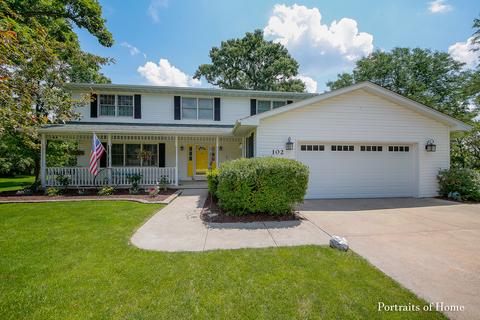 102 Crest View Ct, Minooka, IL 60447 photo 1