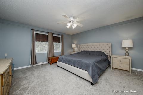 102 Crest View Ct, Minooka, IL 60447 photo 12