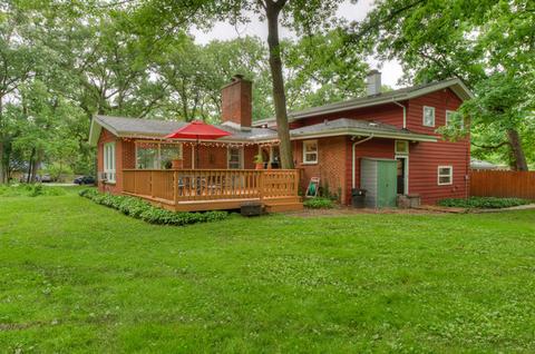 20632 Hellenic Dr, Olympia Fields, IL 60461 photo 19