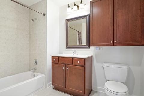 100 E 14th St #810, Chicago, IL 60605 photo 14