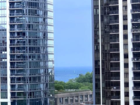 100 E 14th St #810, Chicago, IL 60605 photo 26