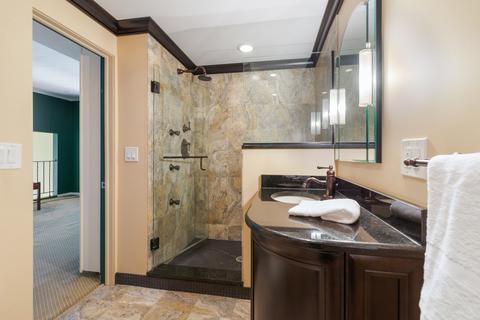 20 E Cedar St #6B, Chicago, IL 60611 photo 18