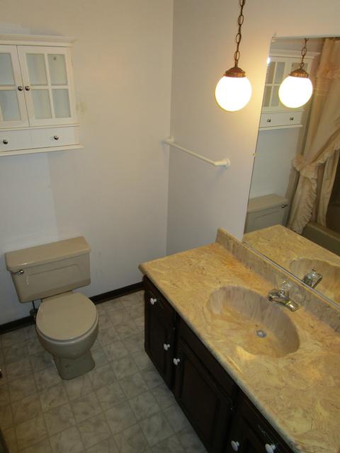 285 W 3rd St, Braidwood, IL 60408 photo 9