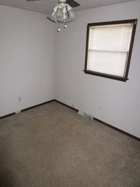 285 W 3rd St, Braidwood, IL 60408 photo 8