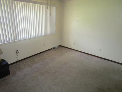 285 W 3rd St, Braidwood, IL 60408 photo 2