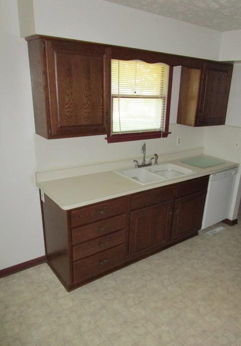 285 W 3rd St, Braidwood, IL 60408 photo 4