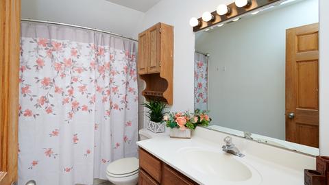 7731 Lorel Ave, Burbank, IL 60459 photo 18