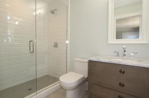 747 William St, River Forest, IL 60305 photo 26