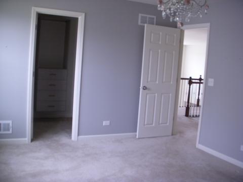 4080 Conifer Ct, Elgin, IL 60124 photo 9