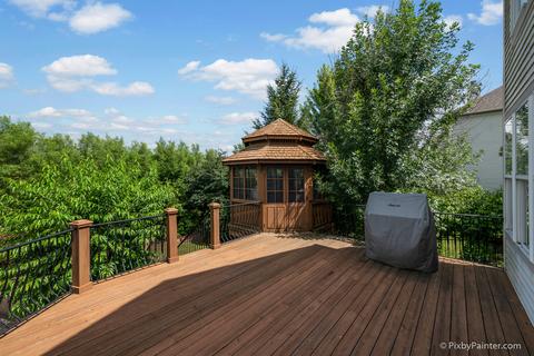 571 Brookside Ave, Algonquin, IL 60102 photo 49