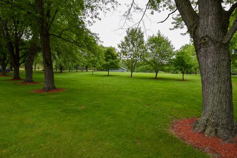 17115 S Lily Cache Rd, Plainfield, IL 60586 photo 4