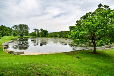 17115 S Lily Cache Rd, Plainfield, IL 60586 photo 16