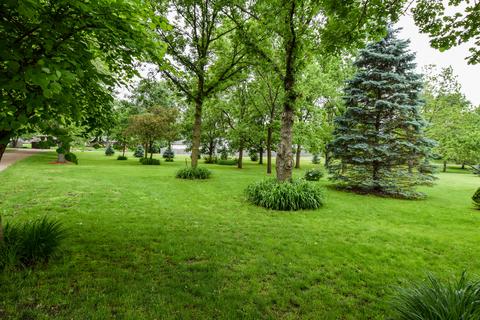 17115 S Lily Cache Rd, Plainfield, IL 60586 photo 7