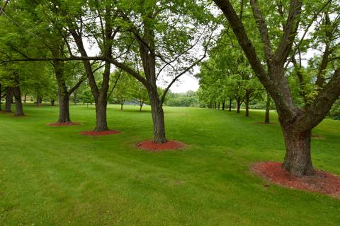 17115 S Lily Cache Rd, Plainfield, IL 60586 photo 5